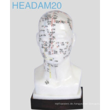 Kopf Akupunktur Modell (Headam20)